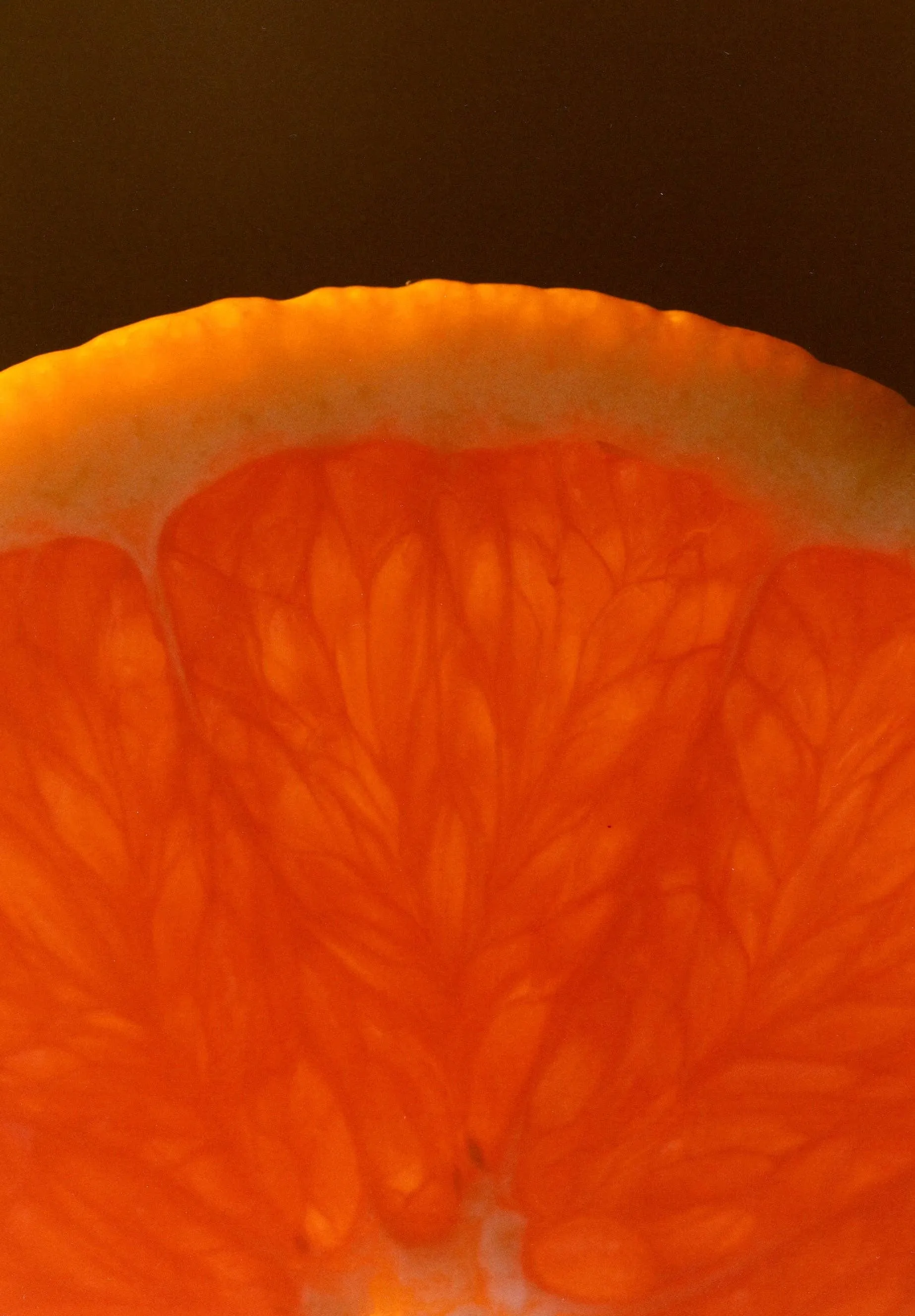 Cara Cara & Hibiscus Marmalade