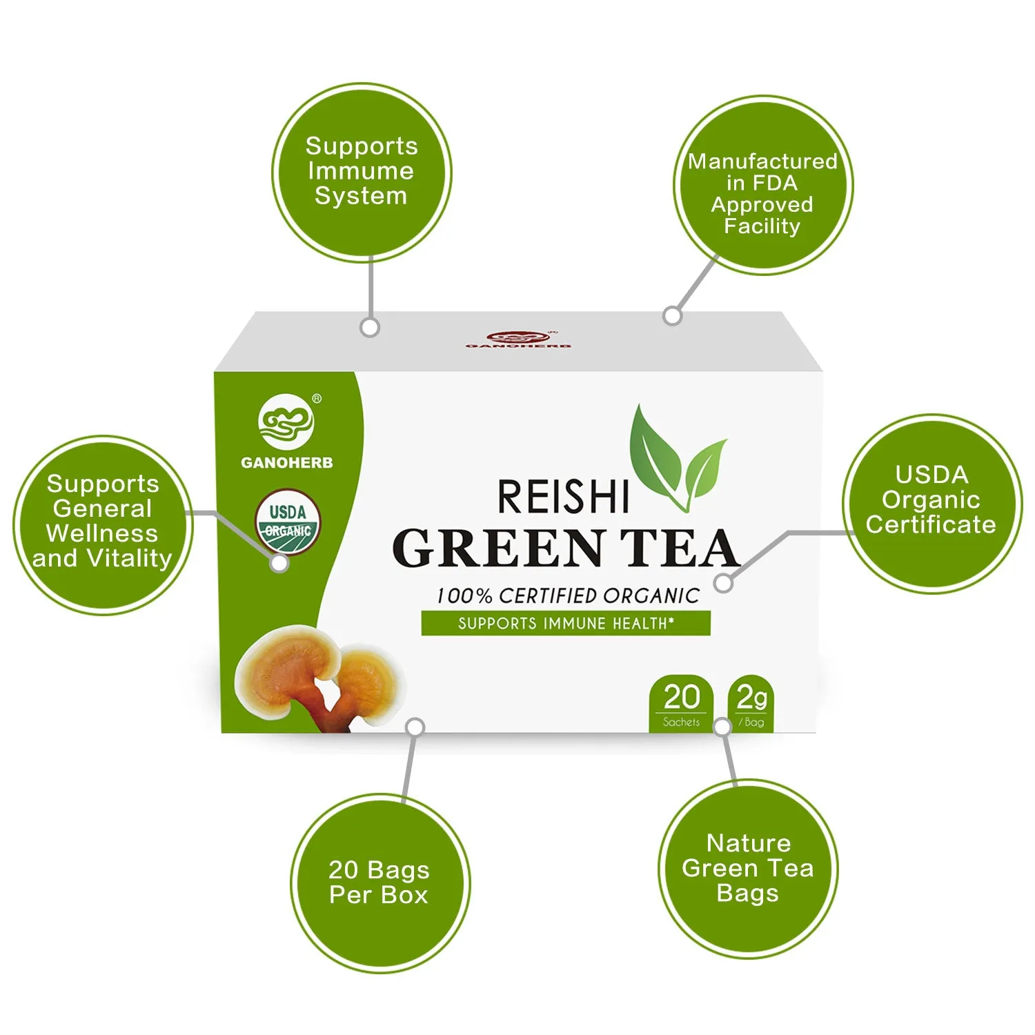 Organic Green Tea Bags & Matcha Powder – Wholesale Chinese Herbal Reishi Green Tea